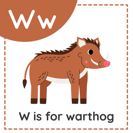 Animal alphabet flashcard for children. Learning letter W. W is for warthog.のイラスト素材
