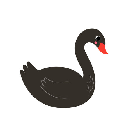 Vector picture of black swan isolated on white background.のイラスト素材