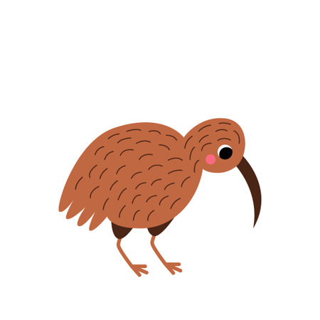 Vector picture of cartoon kiwi bird isolated on white background.のイラスト素材