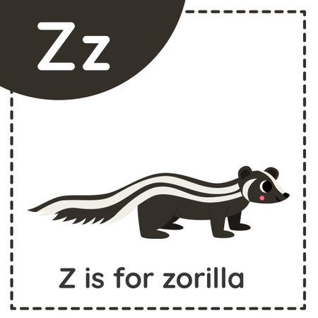 Animal alphabet flashcard for children. Learning letter Z. Z is for zorilla.のイラスト素材