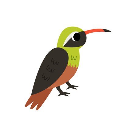 Vector picture of cute cartoon xanthus bird isolated on white background.のイラスト素材