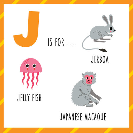 Animal alphabet flashcard for children. Learning letter J. J is for jerboa japanese macaque jelly fish.のイラスト素材