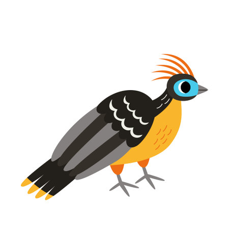 Vector picture of cute cartoon hoatzin bird isolated on white background.のイラスト素材