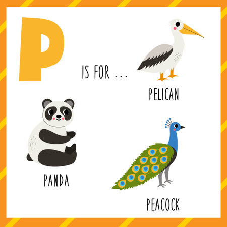 Animal alphabet flashcard for children. Learning letter P. P is for pelican panda peacock.のイラスト素材