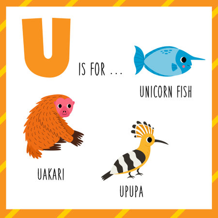 Animal alphabet flashcard for children. Learning letter U. U is for uakari upupa unicorn fish.のイラスト素材