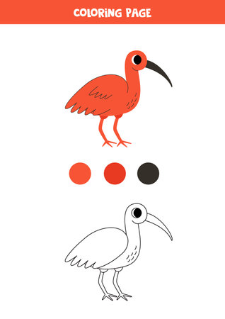 Coloring page with cute cartoon scarlet ibis. Worksheet for children.のイラスト素材