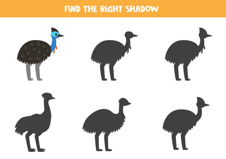 Find the right shadow of cute cassowary. Educational logical game for kids. Printable worksheet for preschoolers.のイラスト素材