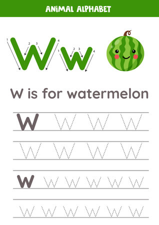 Fruit and vegetable alphabet writing for preschool kids. Letter W is for watermelon.のイラスト素材