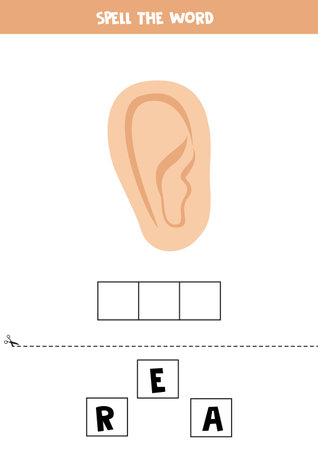 Spell the word. Vector illustration of cute cartoon ear. Spelling game for kids.のイラスト素材