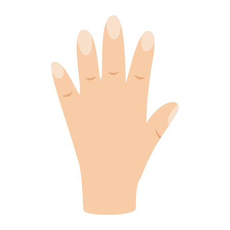 Vector picture of cartoon hand isolated on white background.のイラスト素材