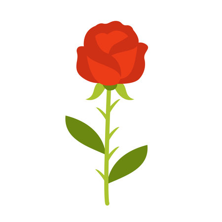 Vector picture of cartoon red rose isolated on white background.のイラスト素材