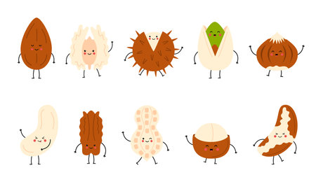 Cute set of happy nuts. Cartoon nuts isolated on white background. Peanut, hazelnut, walnut, Brazilian nut, pistachio, cashew, pecan, almond characters.のイラスト素材
