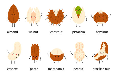 Cute set of happy nuts with names. Cartoon nuts isolated on white background. Peanut, hazelnut, walnut, Brazilian nut, pistachio, cashew, pecan, almond characters.のイラスト素材