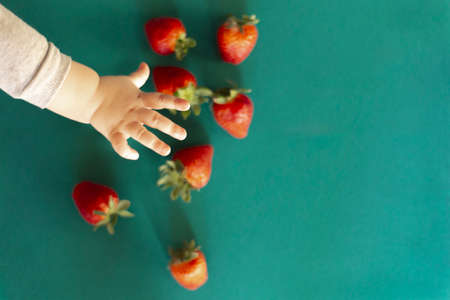 Top of view of selective focus of chubby toddler's hand reach for big red juicy strawberry on the...