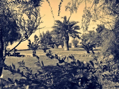 Beautiful vision of Santiago de Chile from the hill San Cristóbal.の写真素材