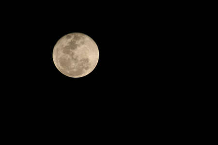 Full Moonの写真素材