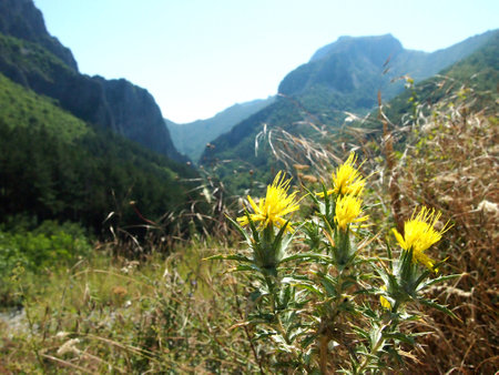 A Mountain landscape viewの写真素材
