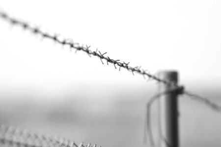 barbed wire over the fenceの写真素材