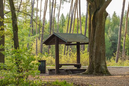 beautiful wooden rest area with benches and a roof in the forest, a quiet place for rest and activities in the fresh airの写真素材