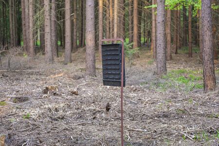 pest catcher due to research into harmfulness in the forest, dry forest and bark beetle calamity in the Czech Republicの写真素材