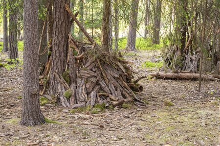 children's building made of wooden material in the woods, healthy lifestyle living in nature and funの写真素材
