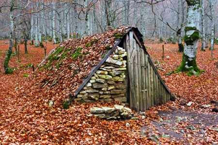 Hovel in autumnの写真素材