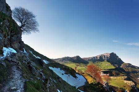 Trail to arraba lands in Gorbea with tree silhouetteの写真素材