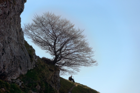 hiker resting in mountain under a treeの写真素材