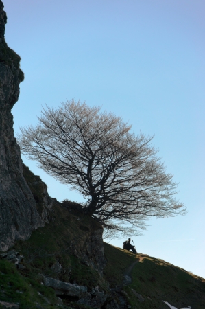 silhouette of hiker resting in mountain under a treeの写真素材