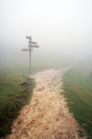signpost with fog and a pathwayの写真素材
