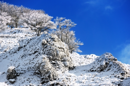 frozen trees on mountain against blue skyの写真素材