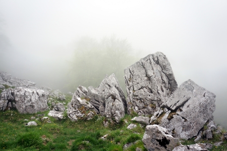 boulder and big rocks in foggy forestの写真素材