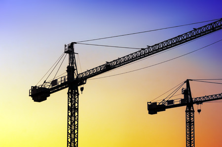 two cranes silhouette at sunsetの写真素材