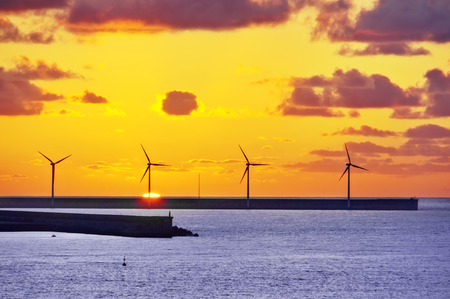 wind turbines on sea at sunset