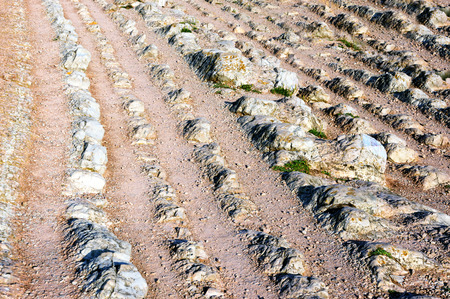 sedimentary rocks pattern in zumaia,  named Flyschの写真素材
