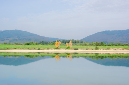 symmetry with tree reflections on a lake. Ullibarri Ganboaの写真素材