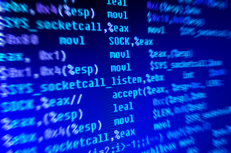 Assembly programming language code in monitor