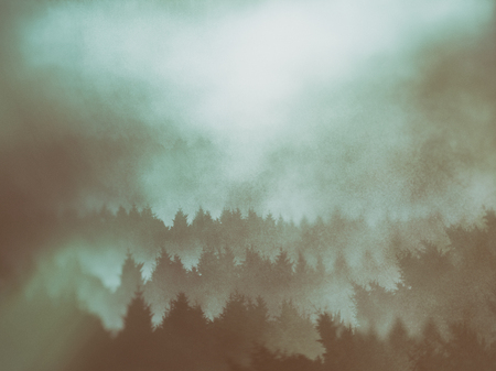 background of trees with grungy textures