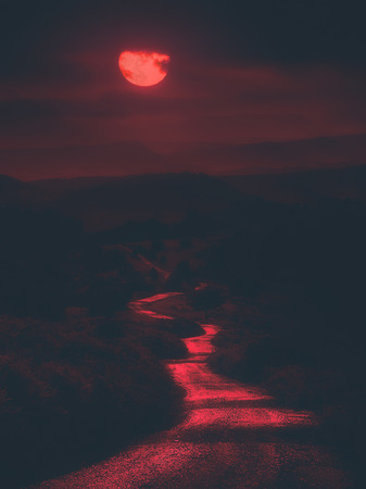 scary path at night with bloody red moonの写真素材