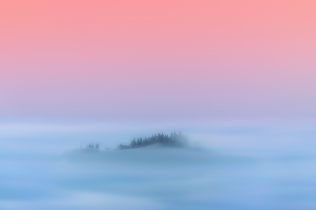 dreamy magic landscape of hazy forestの写真素材