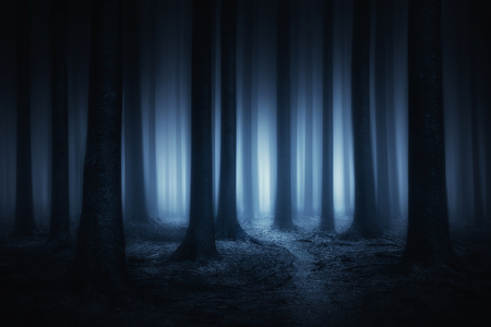 MayMei 黒暗森林 Fiend White Dark Forest ♡ bzRBl9qw05.png?imginfo=w1026,h1920