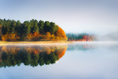 Autumn in Urrunaga reservoir in Legutianoの写真素材
