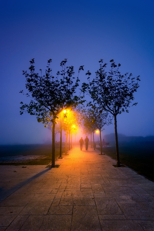couple walking on path at night illuminated with streetlampsの写真素材