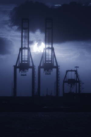 cranes in harbor at nightの写真素材