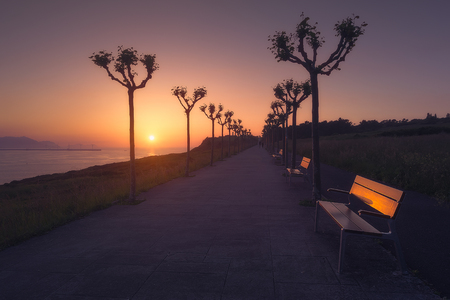 Benches in La Galea park in Getxo at sunsetの写真素材