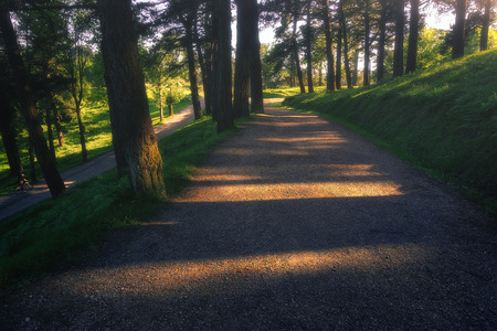 Path with beautiful sunlight in Pagasarri mountain