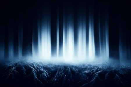 dark forest with scary roots