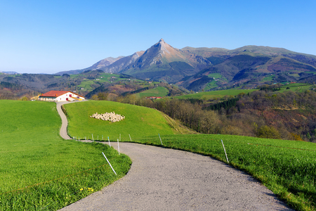 rural landscape of farm with sheep in Lazkaomendi in Gipuzkoa with Txindoki mountainの写真素材