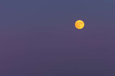 yellow full moon on purple sky at twilightの写真素材