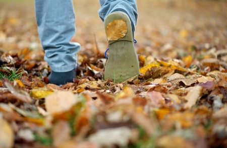 Close up male shoes walking on fall leaves outdoorsの写真素材